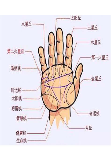 五行手相|灵匣网手相大全